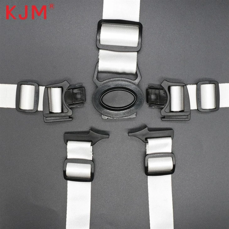 Five-Point Child Safety Harness